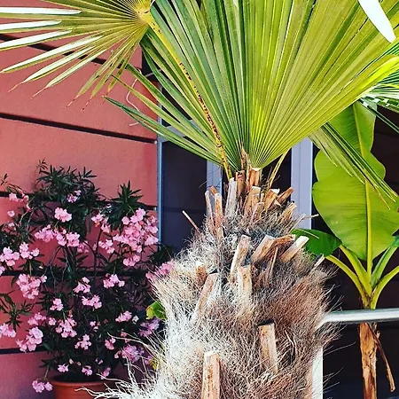 Apartamento Cacao