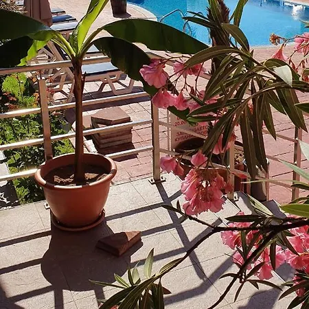 Apartment Cacao Sunny Beach